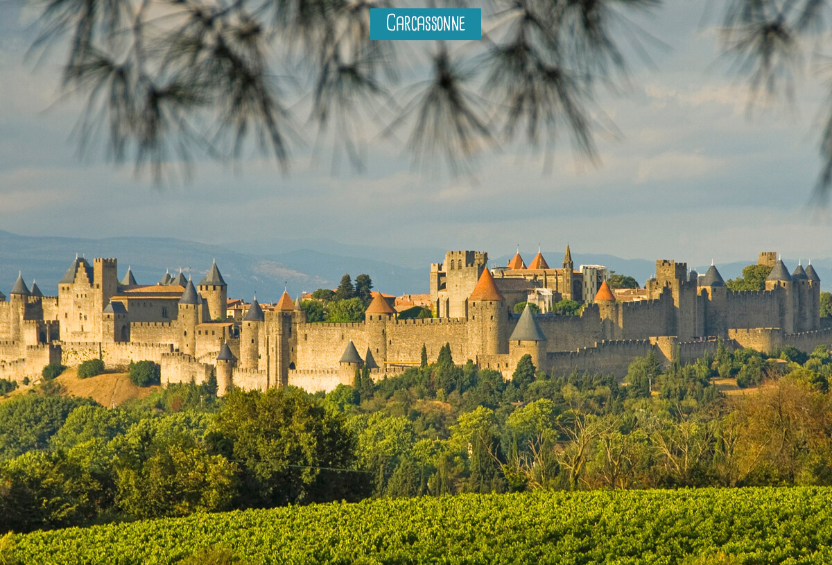 2023-hamacs_carcassonne-8769542_0.jpg